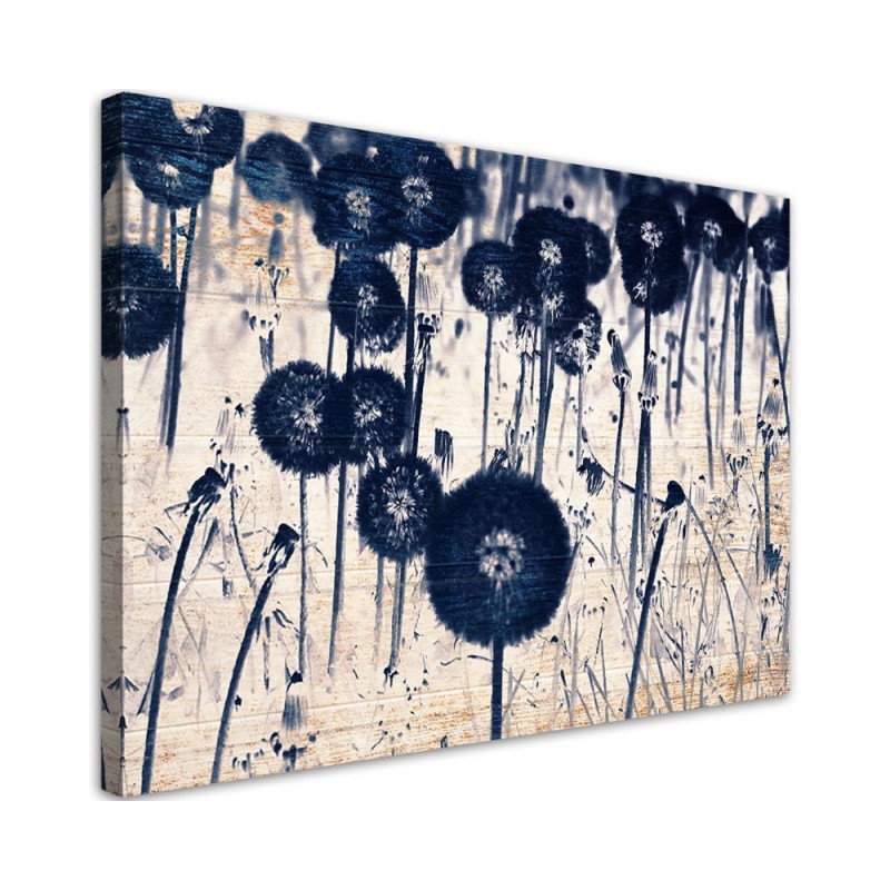 Leinwandbild - Pusteblume auf alten Brettern | Feeby
