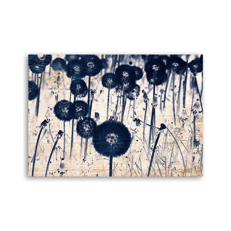 Leinwandbild - Pusteblume auf alten Brettern | Feeby