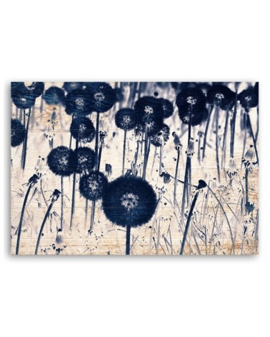 Leinwandbild - Pusteblume auf alten Brettern | Feeby