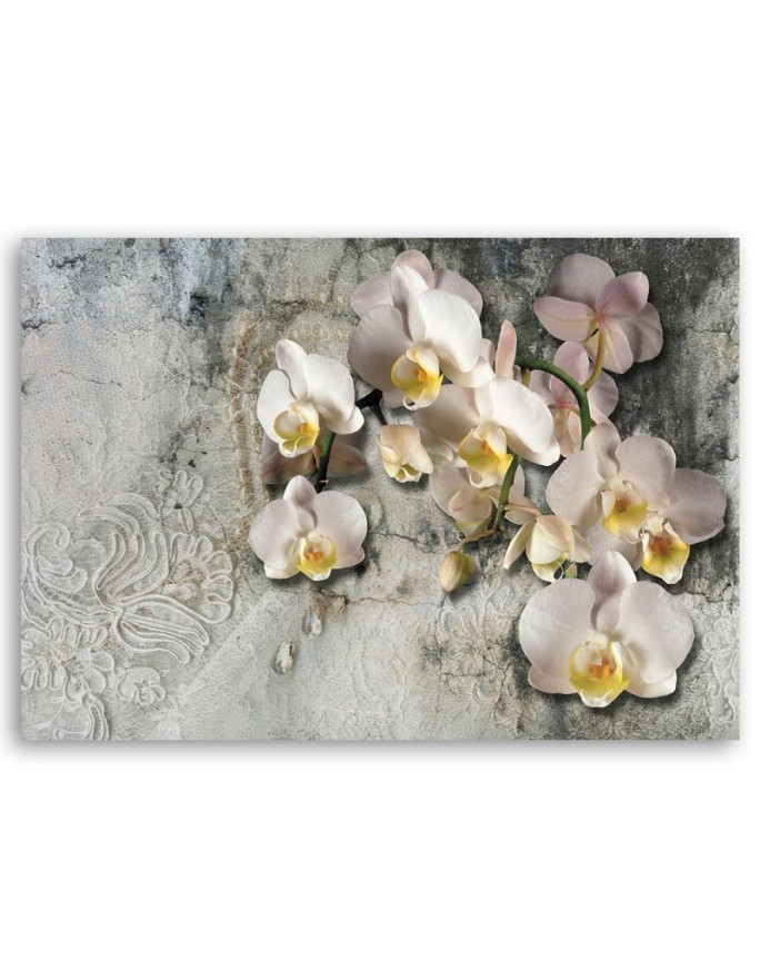 Sunny orchids flowers - Canvas print. Buy now| | FEEBY