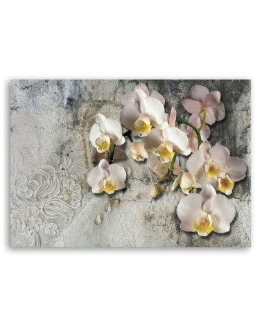 Leinwandbild modern - Orchideen Blumen Pflanzen | Feeby
