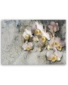 Sunny orchids flowers - Canvas print. Buy now| | FEEBY