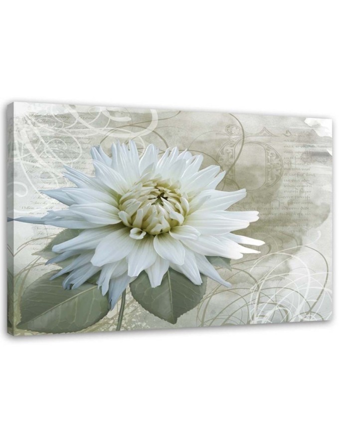 Modernes Wandbild - Weiße Vintage-Blume | Feeby