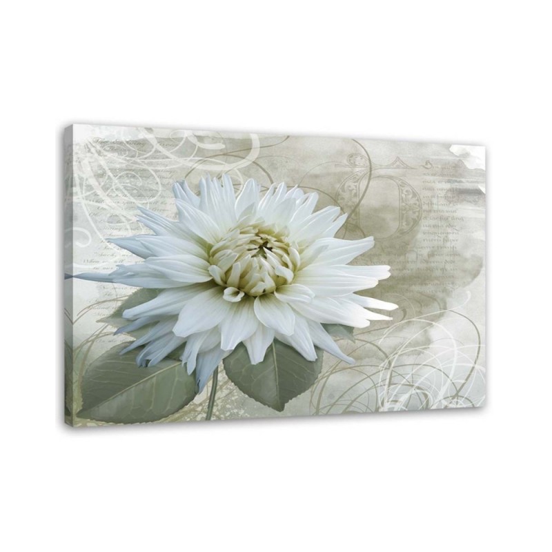 Modernes Wandbild - Weiße Vintage-Blume | Feeby