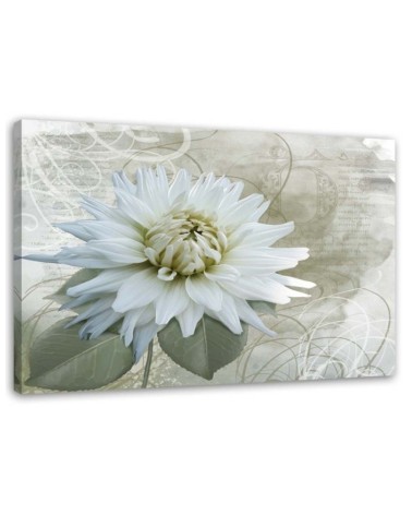 White vintage flower - Canvas print | FEEBY
