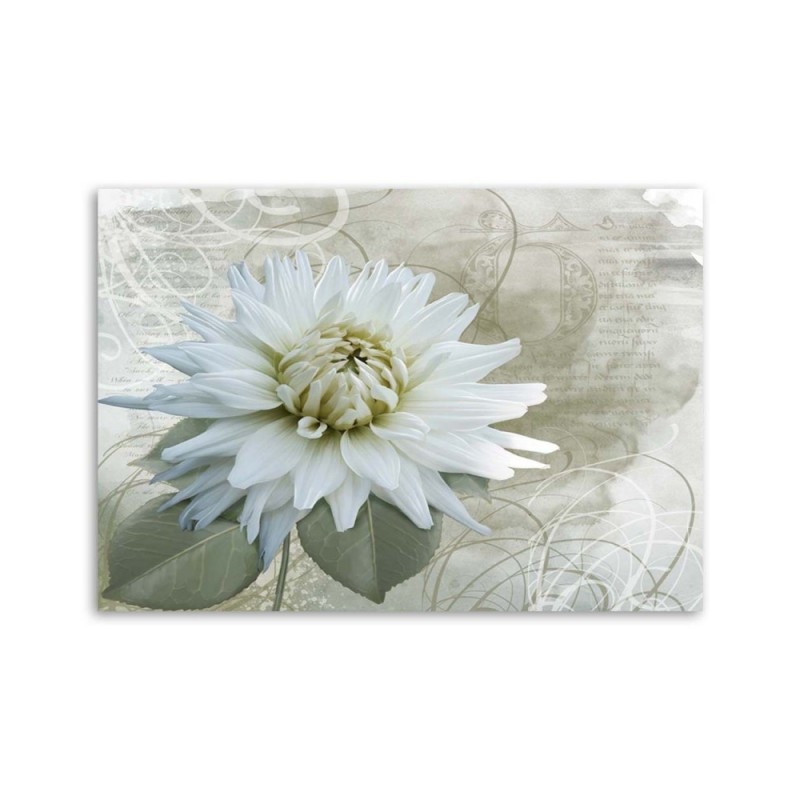 Modernes Wandbild - Weiße Vintage-Blume | Feeby