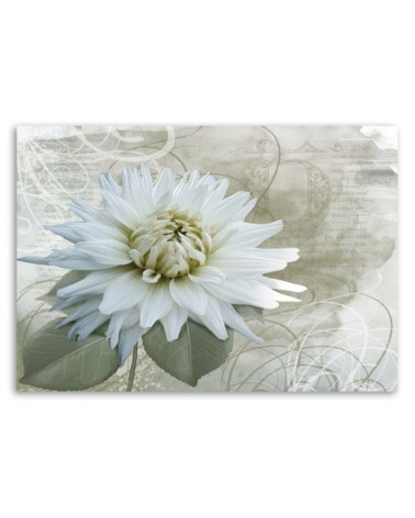 Modernes Wandbild - Weiße Vintage-Blume | Feeby