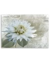 White vintage flower - Canvas print | FEEBY