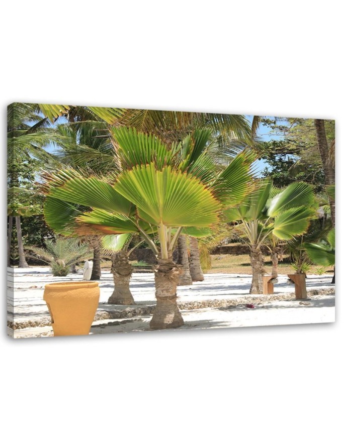 Bild auf Leinwand - Tropische Bäume | Feeby