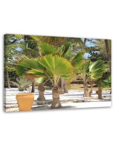 Bild auf Leinwand - Tropische Bäume | Feeby