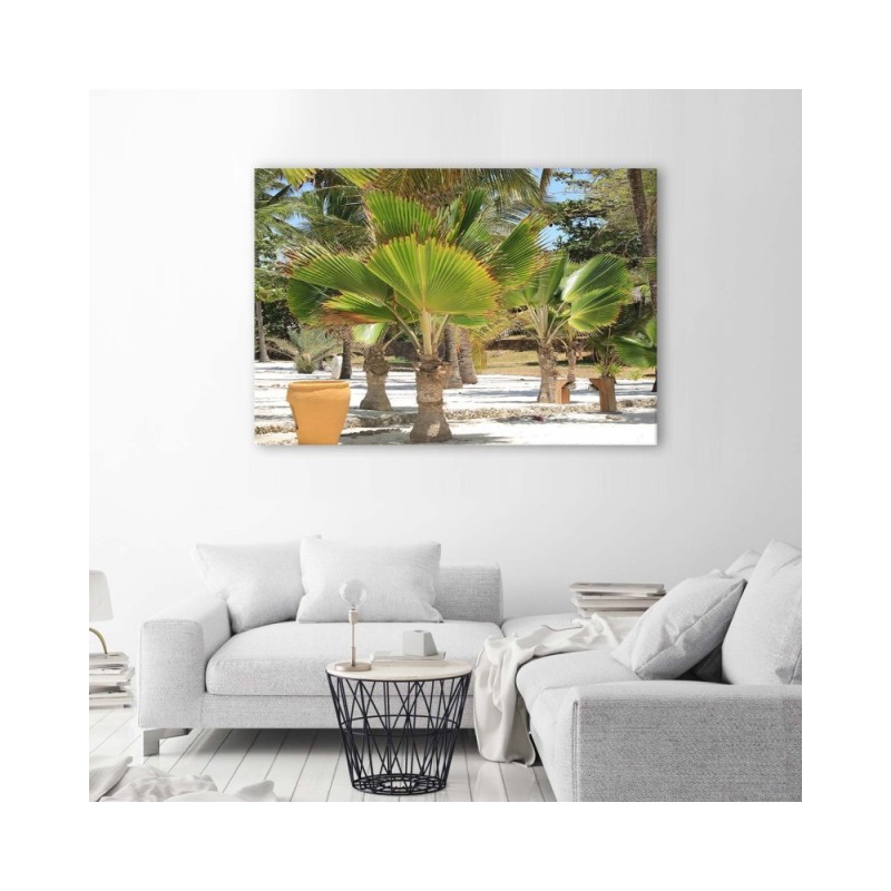 Bild auf Leinwand - Tropische Bäume | Feeby