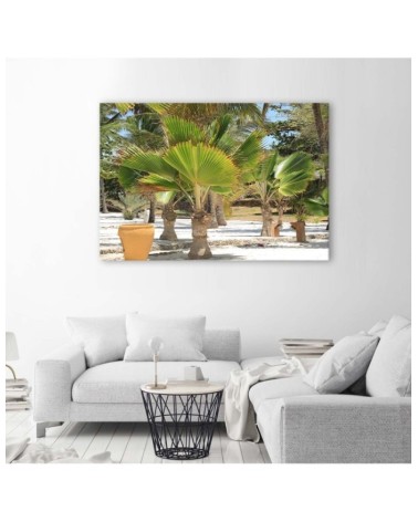 Bild auf Leinwand - Tropische Bäume | Feeby