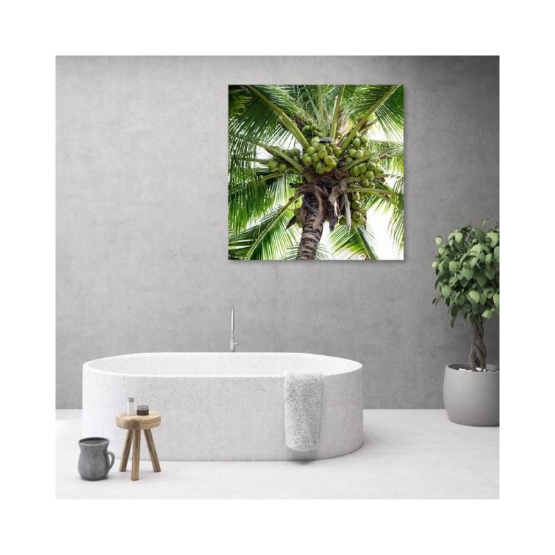 Dekoratives Leinwandbild - Kokusnuss-Palme | Feeby