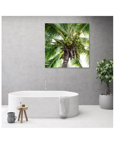 Dekoratives Leinwandbild - Kokusnuss-Palme | Feeby