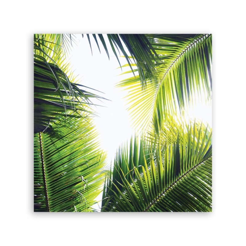 Leinwandbild - Palmen Blätter Pflanzen | Feeby
