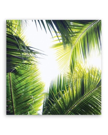 Leinwandbild - Palmen Blätter Pflanzen | Feeby
