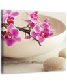 Różowe orchidee - Obraz na płótnie do spa | FEEBY