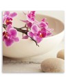 Różowe orchidee - Obraz na płótnie do spa | FEEBY