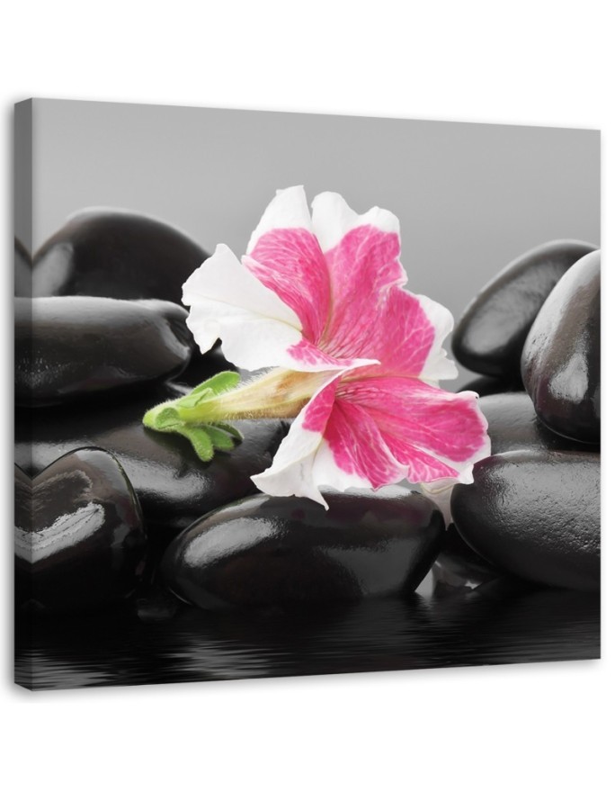 Bild auf Leinwand - Rosa Blume auf Steinen | Feeby