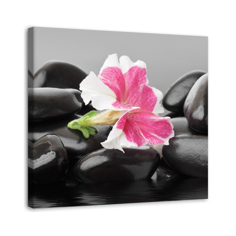 Bild auf Leinwand - Rosa Blume auf Steinen | Feeby