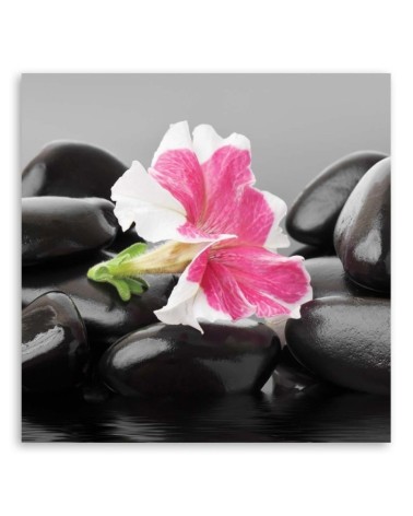 Bild auf Leinwand - Rosa Blume auf Steinen | Feeby