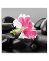 Pink flower on stones - Wall decoration for living room | FEEBY