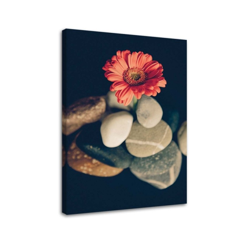Bild auf Leinwand - Steine und rote Blume | Feeby