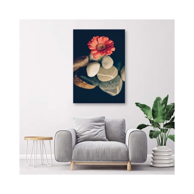 Bild auf Leinwand - Steine und rote Blume | Feeby