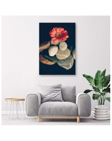 Bild auf Leinwand - Steine und rote Blume | Feeby