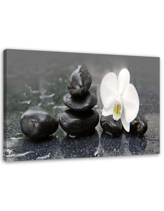 Bild auf Leinwand - Zen-Steine und Orchidee | Feeby