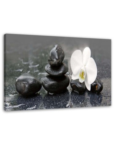 Bild auf Leinwand - Zen-Steine und Orchidee | Feeby