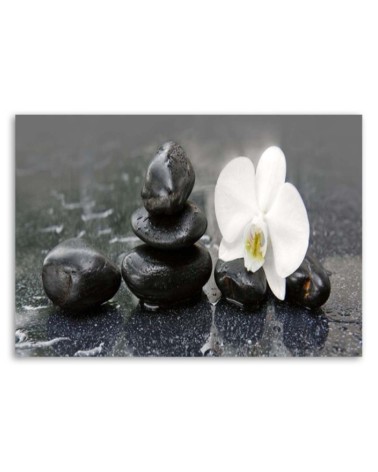 Bild auf Leinwand - Zen-Steine und Orchidee | Feeby
