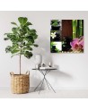 Wall art painting for living room Collage zen orchid bamboo stones | FEEBY
