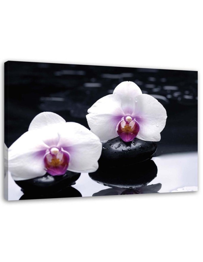 Obraz ścienny do salonu Orchidea w stylu zen | FEEBY