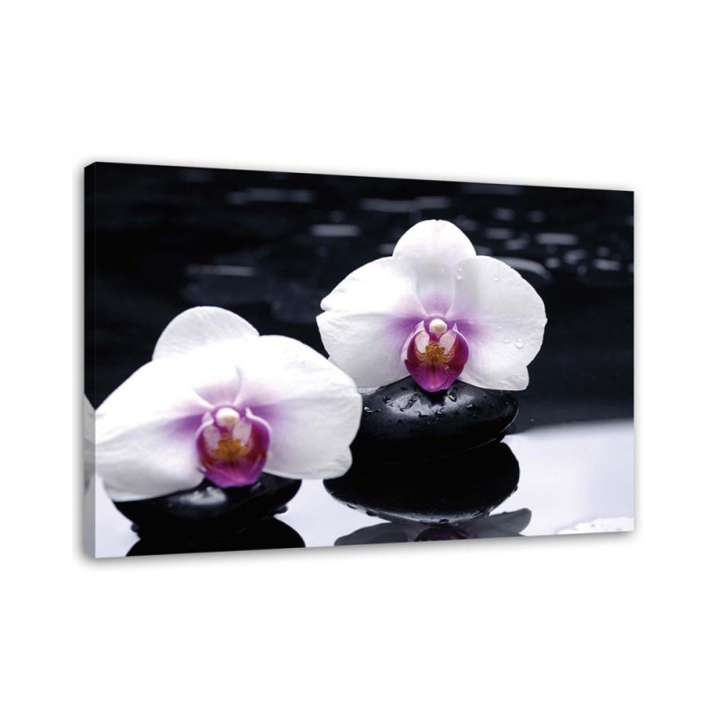 Obraz ścienny do salonu Orchidea w stylu zen | FEEBY