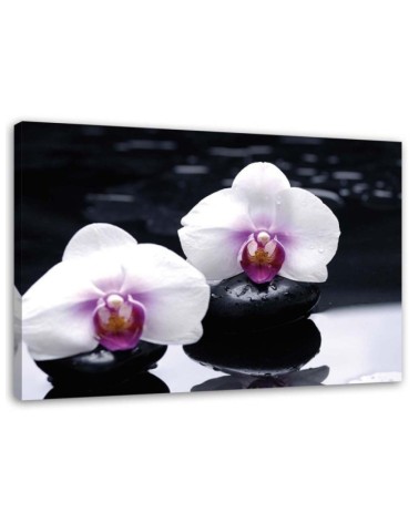 Wall painting for living room zen style orchid | FEEBY