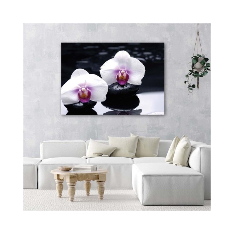 Bild auf Leinwand - Zen-Orchidee | Feeby