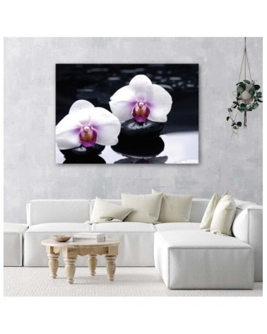 Bild auf Leinwand - Zen-Orchidee | Feeby