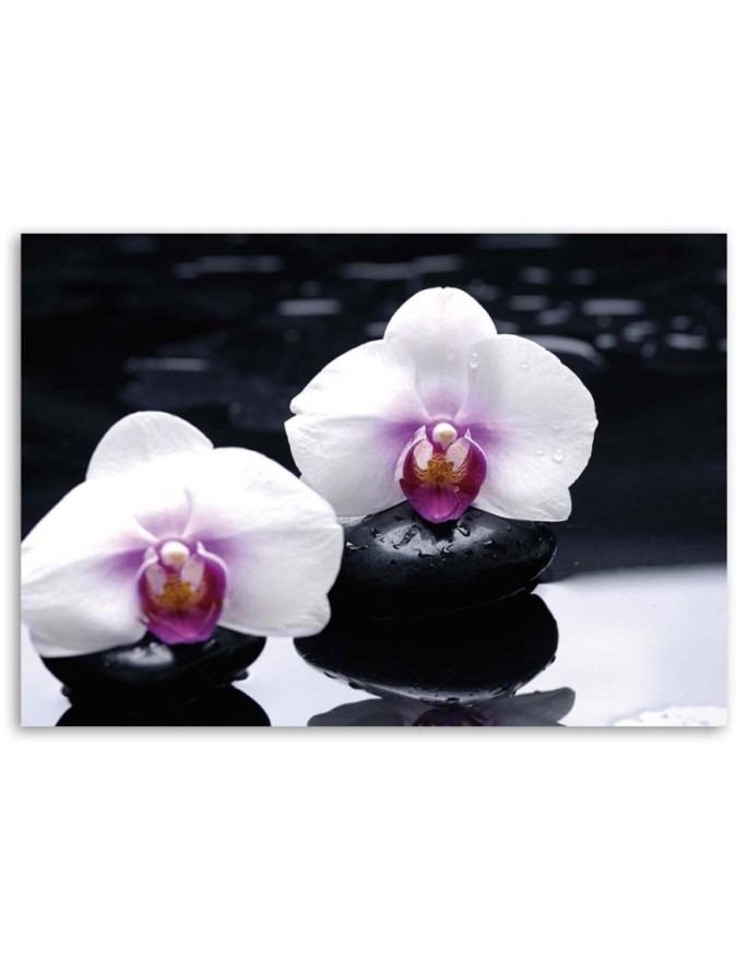 Obraz ścienny do salonu Orchidea w stylu zen | FEEBY