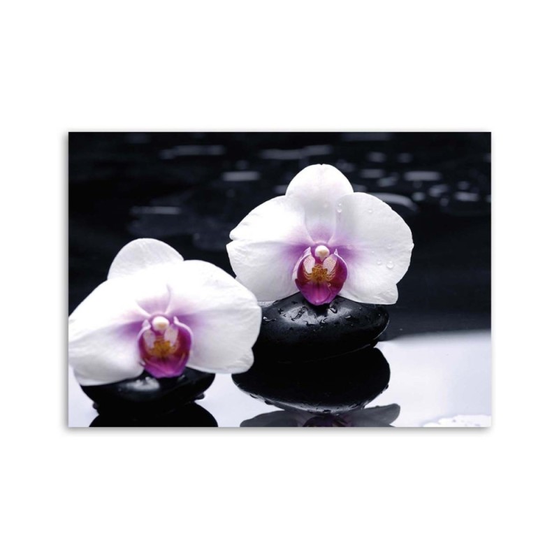 Bild auf Leinwand - Zen-Orchidee | Feeby