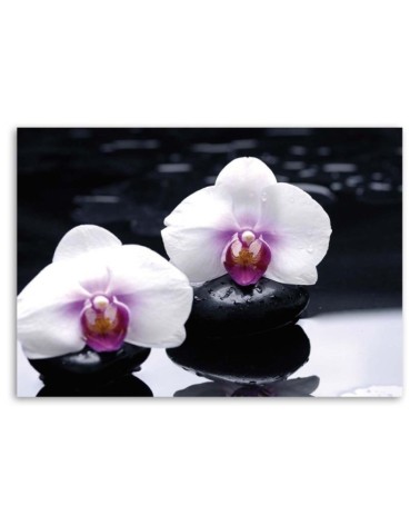 Bild auf Leinwand - Zen-Orchidee | Feeby