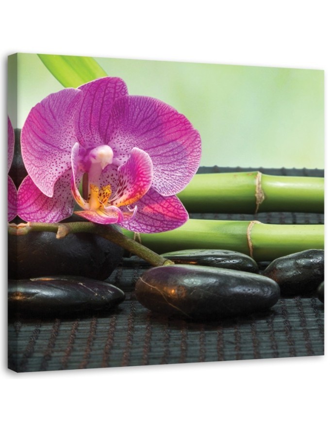 Leinwandbild - Blühende Orchidee auf schwarzen Steinen | Feeby