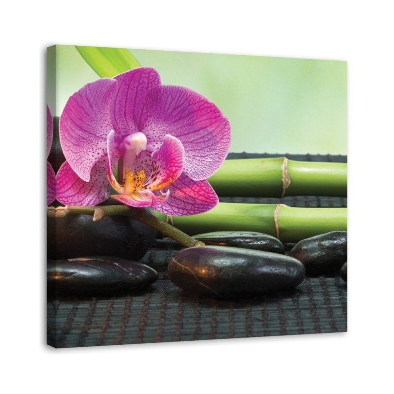 Leinwandbild - Blühende Orchidee auf schwarzen Steinen | Feeby
