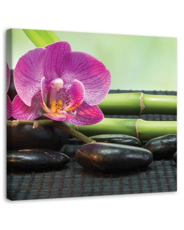 Leinwandbild - Blühende Orchidee auf schwarzen Steinen | Feeby