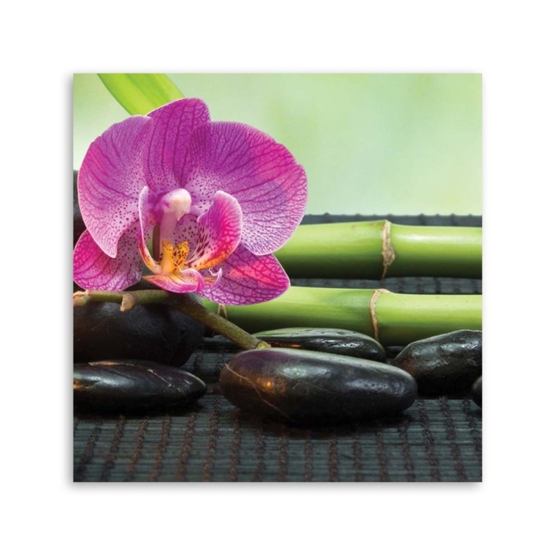 Leinwandbild - Blühende Orchidee auf schwarzen Steinen | Feeby