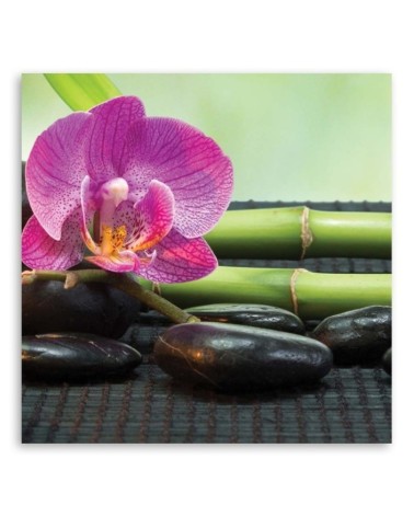 Leinwandbild - Blühende Orchidee auf schwarzen Steinen | Feeby