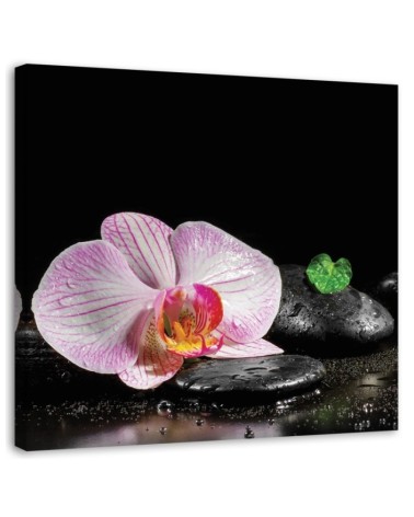 Wall art painting for living room Flowering orchid zen | FEEBY