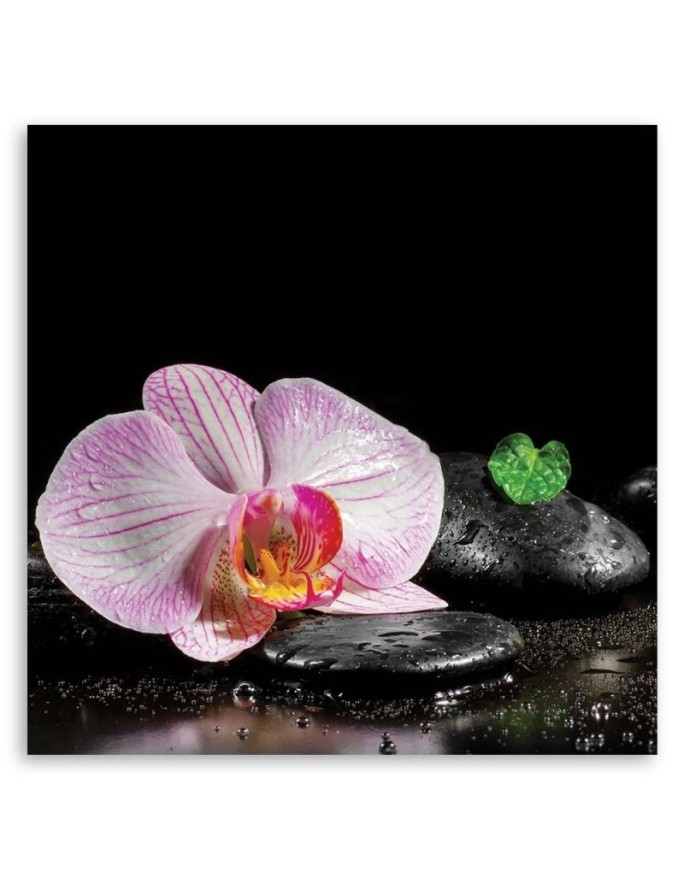 Obraz ścienny do salonu Kwitnąca orchidea zen | FEEBY
