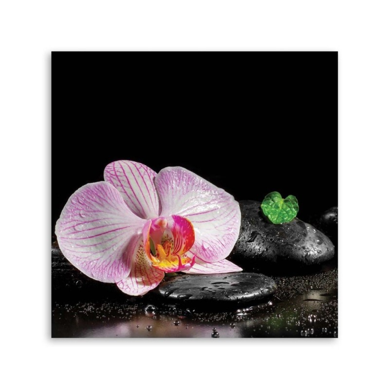 Leinwanddruck - Blühende Zen-Orchidee | Feeby