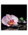 Obraz ścienny do salonu Kwitnąca orchidea zen | FEEBY